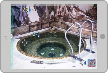 Pool Director (Электрохолдинг и Limpid Pools). Россия, Краснодар