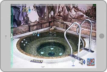  (Pool Director)